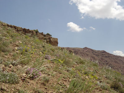 چشم اندازی از عینالی -توفیق وحیدی آذر -Tofigh Vahidi Azar